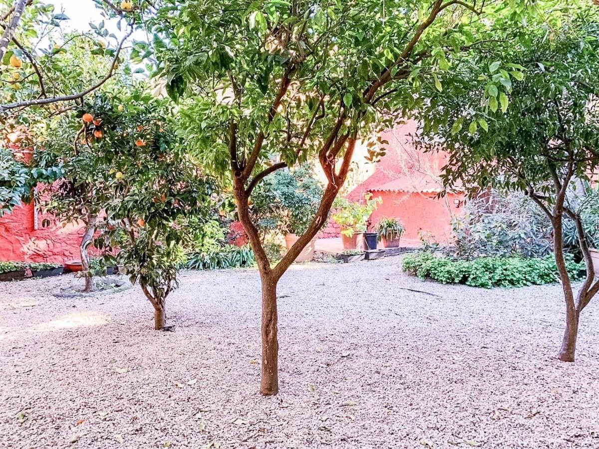 Liguria Garden Διαμέρισμα Όλμπια Εξωτερικό φωτογραφία